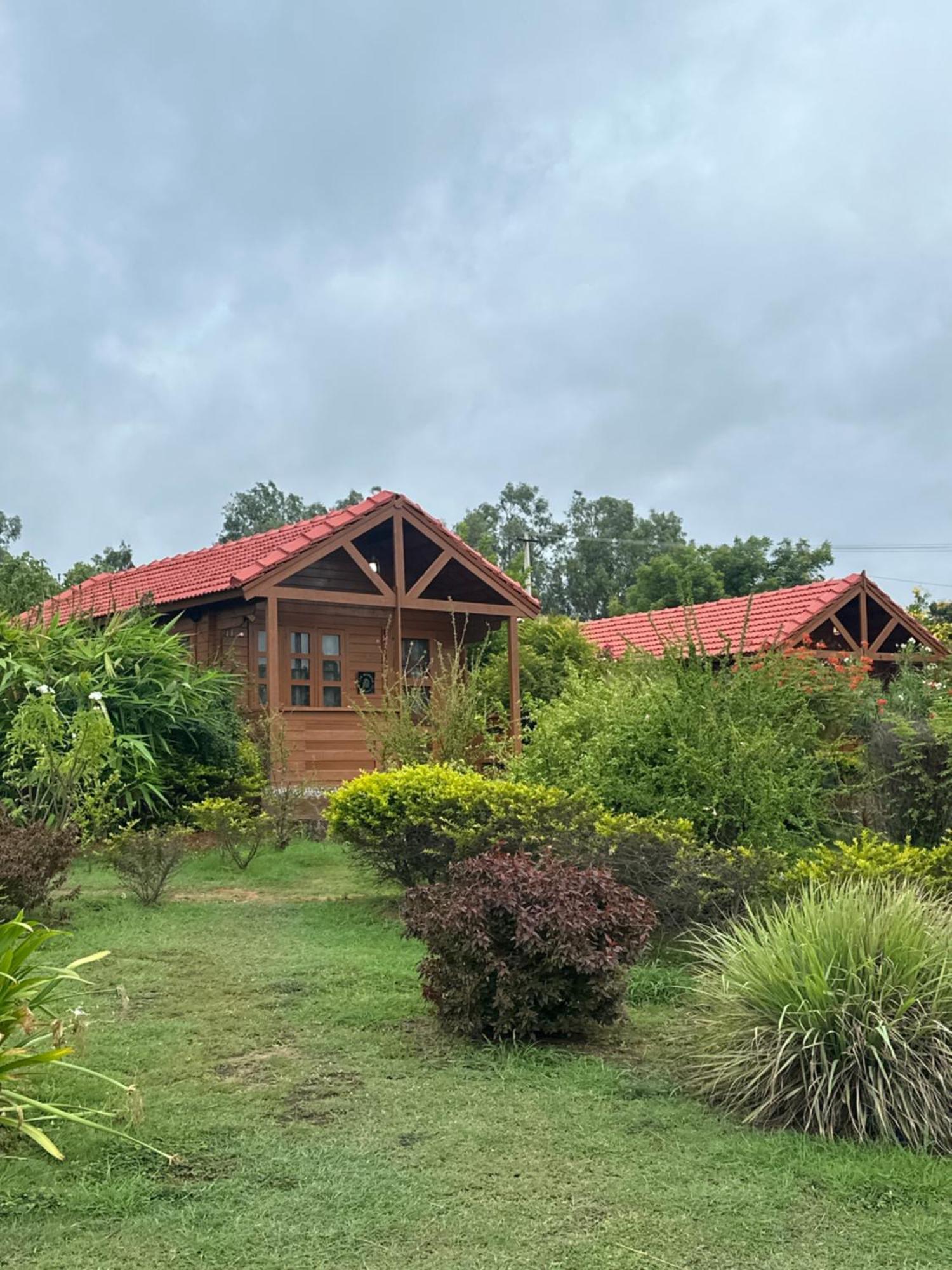 Leo Wooden Resorts Hampi Exterior photo